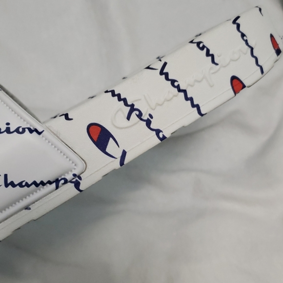 Champion Slides - Picture 3 of 3